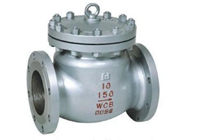 Check Valve